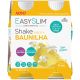 Easyslim - Shake Sabor a Baunilha 2 x 250ml