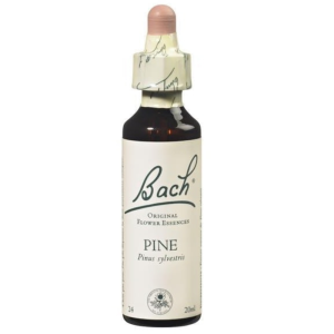 Floral de Bach Pine (Auto-Estima) 20ml
