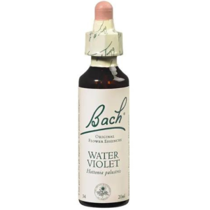 Floral de Bach Water Violet (Sociabilidade) 20ml