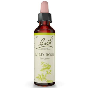 Floral de Bach Wild Rose (Motivação) 20ml